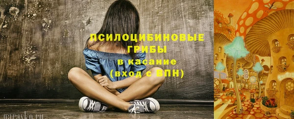 ешки Заполярный