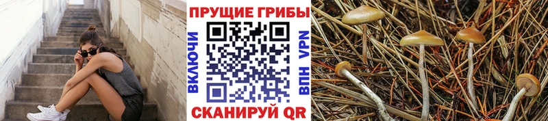 как найти закладки  Добрянка  дарк нет как зайти  Галлюциногенные грибы прущие грибы 