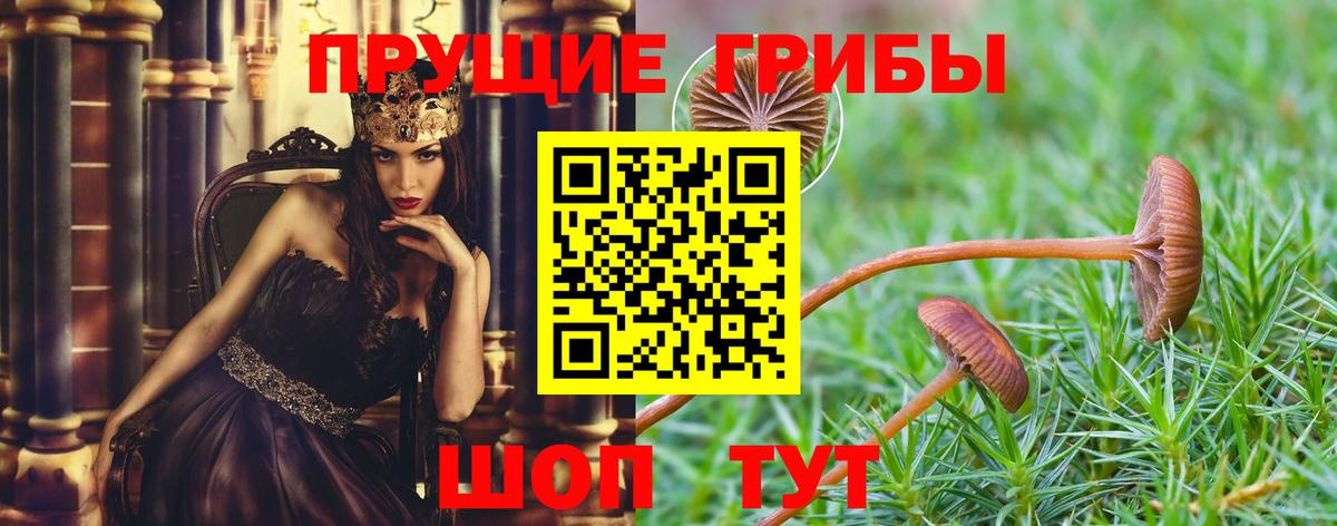 Псилоцибиновые грибы ЛСД Добрянка